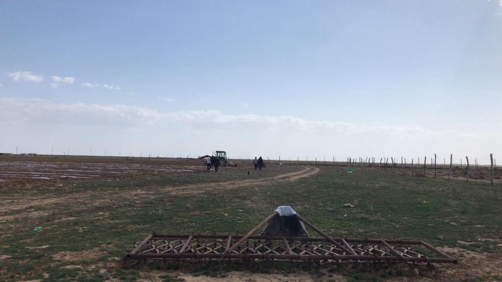 Биыл Атырауда 10 мың гектар алқапқа егін егілмек