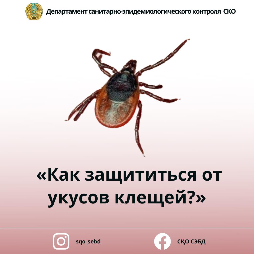 Фильм өндірісіндегі секс Смотреть порно онлайн без регистрации: Үлкен әтеш кончает ішіндегі әйелі.