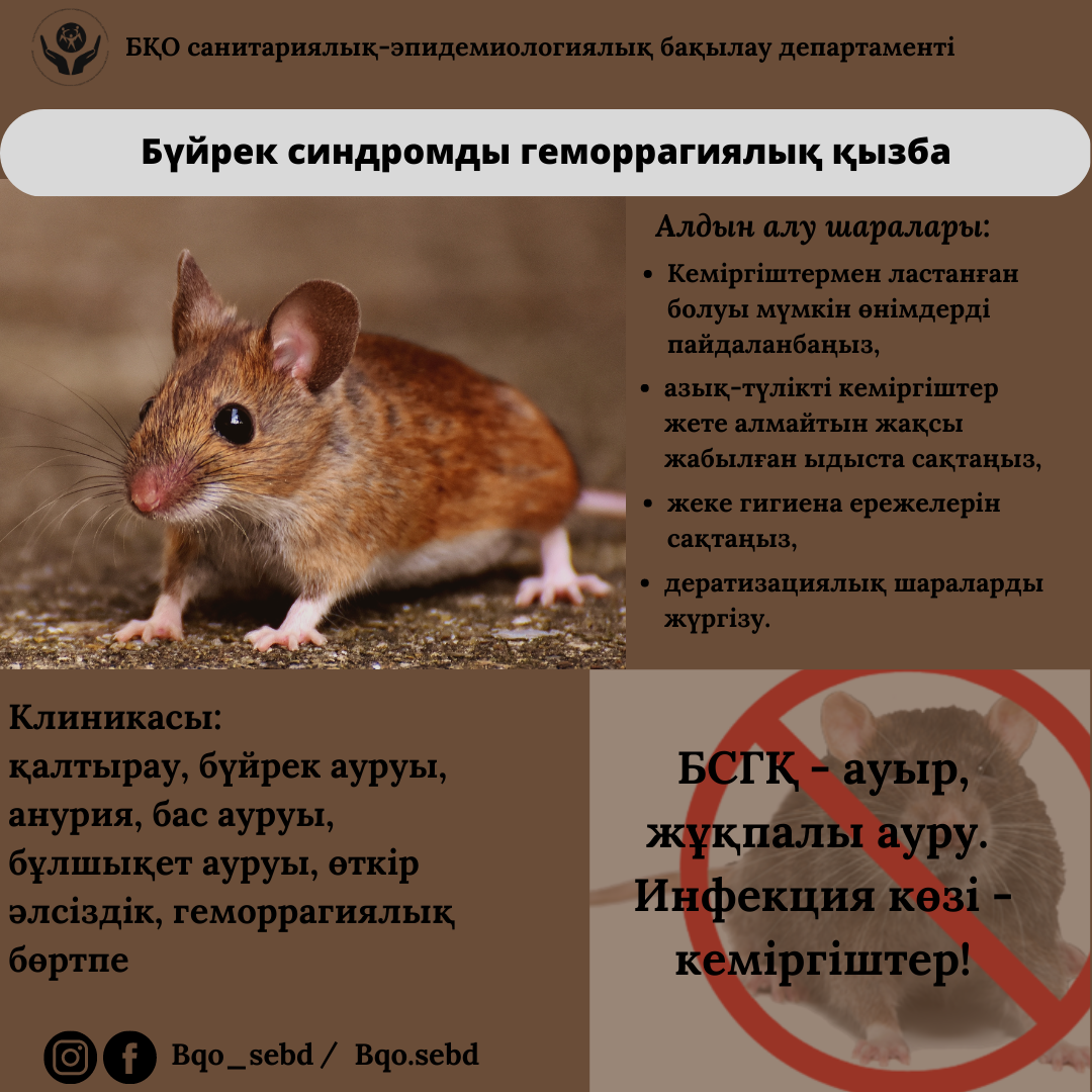 Әке немересімен секс порно видео Винкстен Флора мен Гелия арасындағы секс