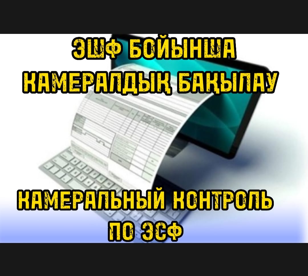 ЭШФ бойынша камералдық бақылау