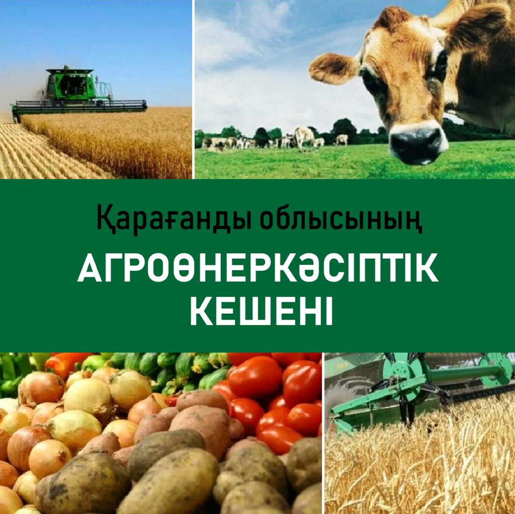 Нұра ауданында тұқым тазарту желісі іске қосылады