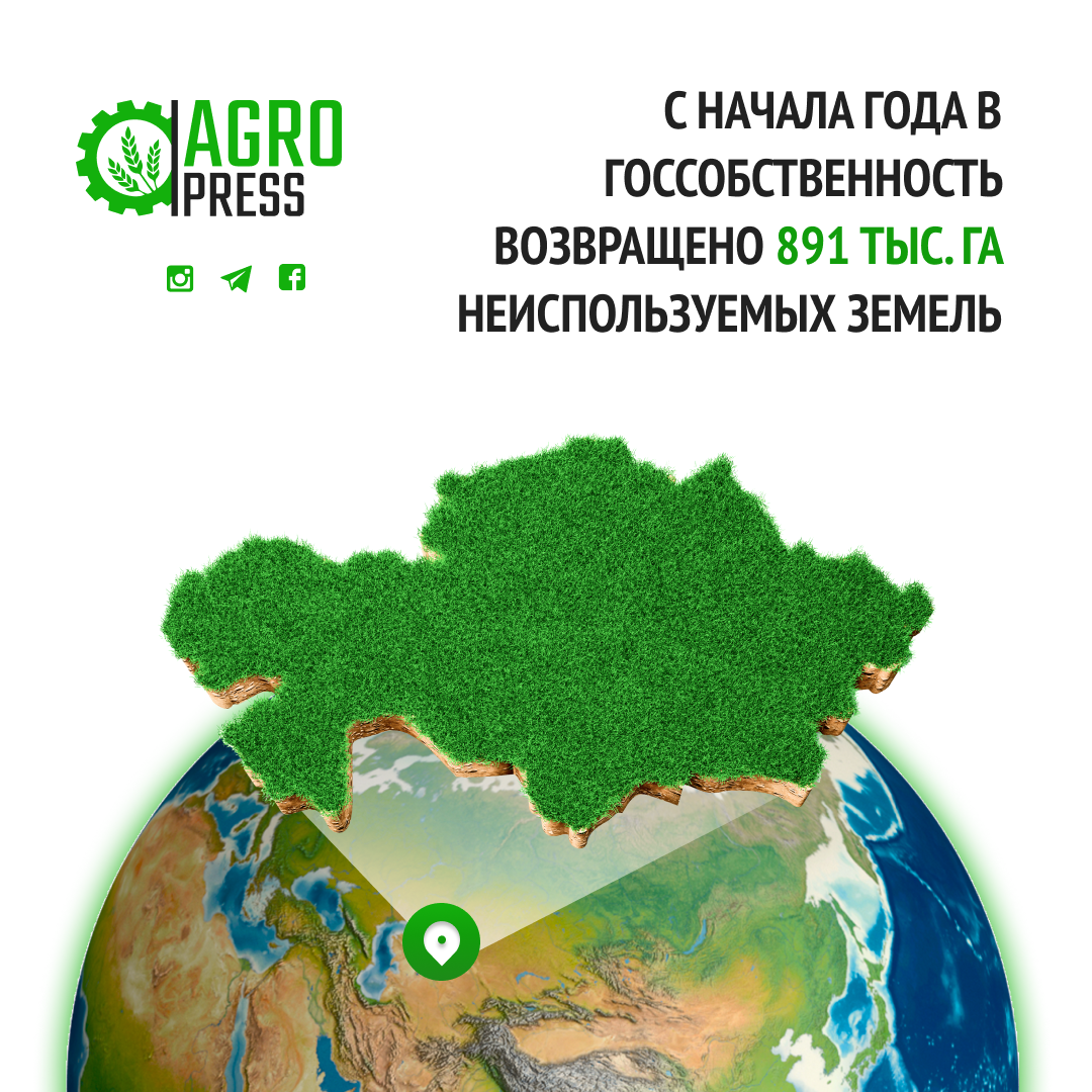 С начала года в госсобственность возвращено 891 тыс. га неиспользуемых земель
