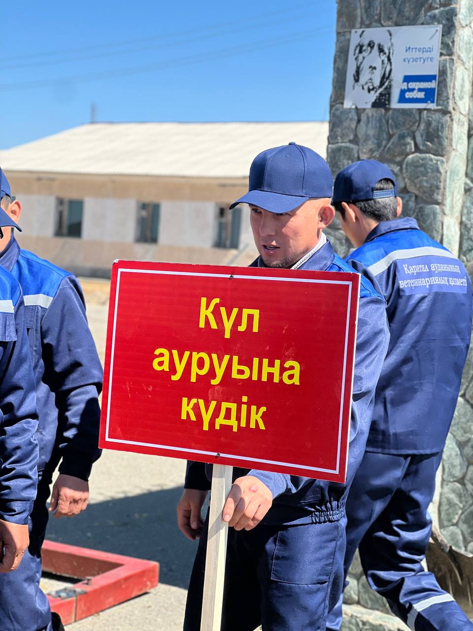 Ветеринарларға арналған тренинг: егер жануарларда күл ауруы анықталса не шара қолдану қажет?