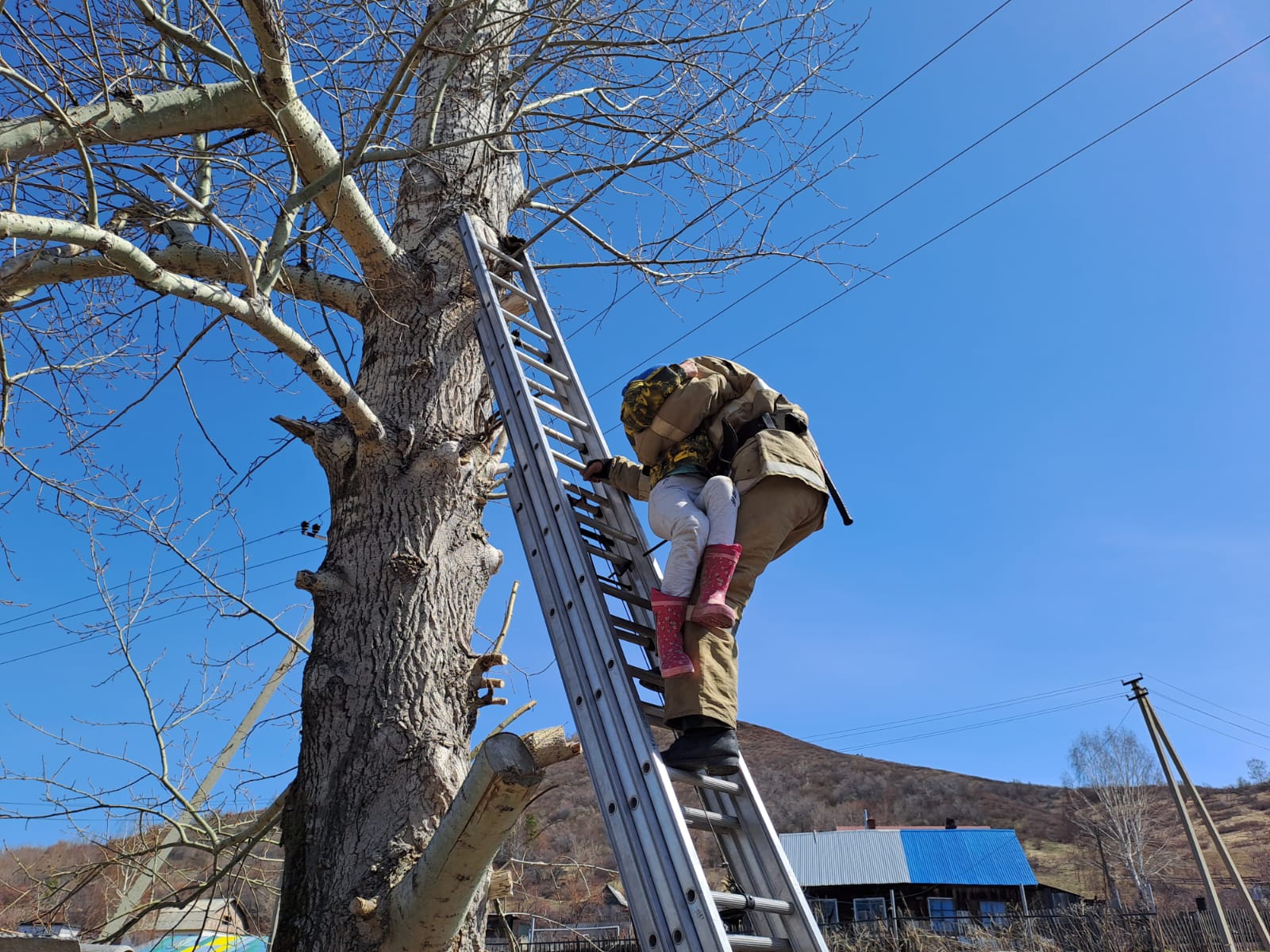 Девочке, застрявшей на высоком дереве пришли на помощь спасатели