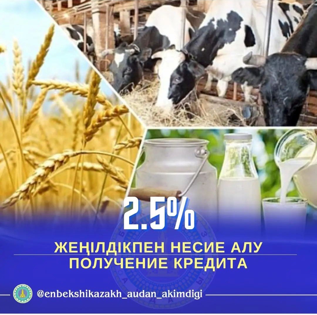 Программа "Ауыл Аманаты"