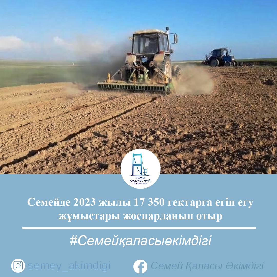 В этом году планируется засеять 17 350 гектаров