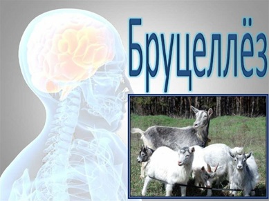 ісінген милф письки