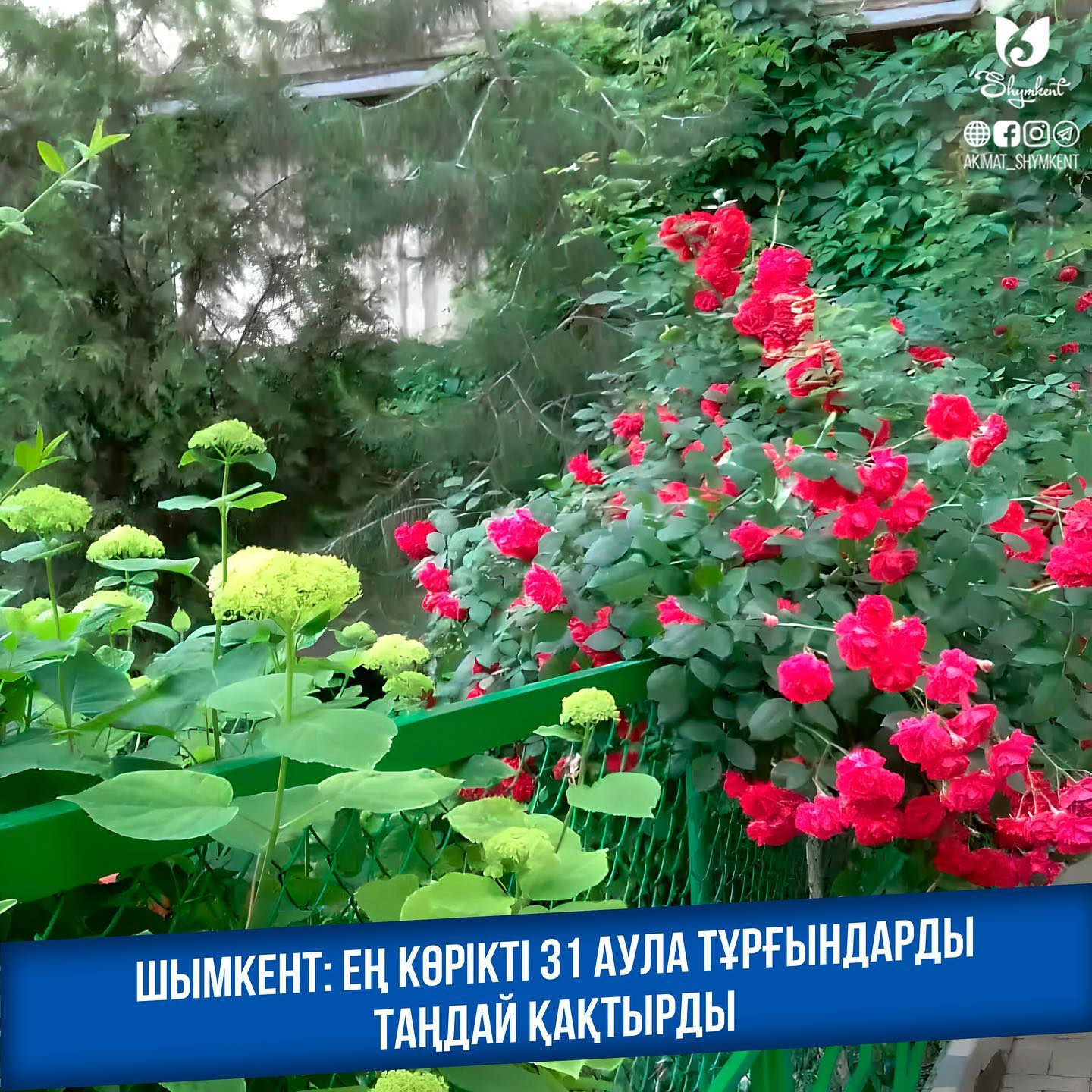 Шымкент  | Блэк Спрут онион зеркала