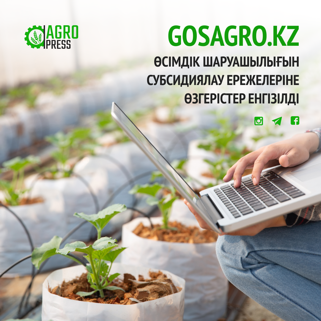 Өсімдік шаруашылығын субсидиялау ережелеріне өзгерістер енгізілді