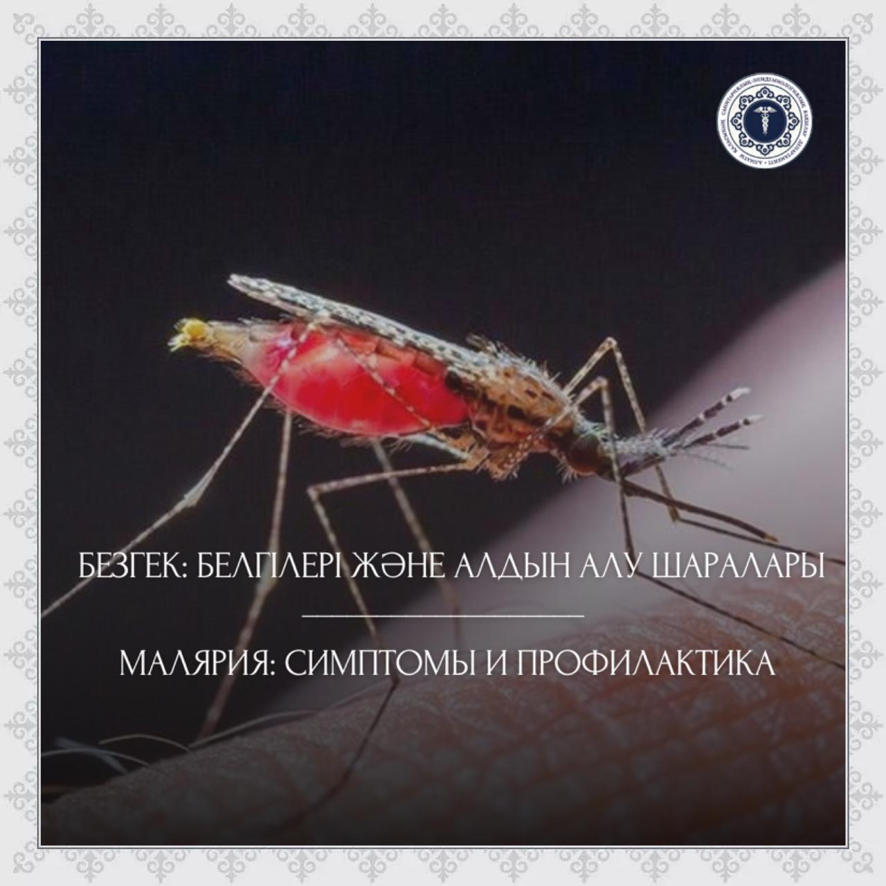 Малярия: симптомы и профилактика