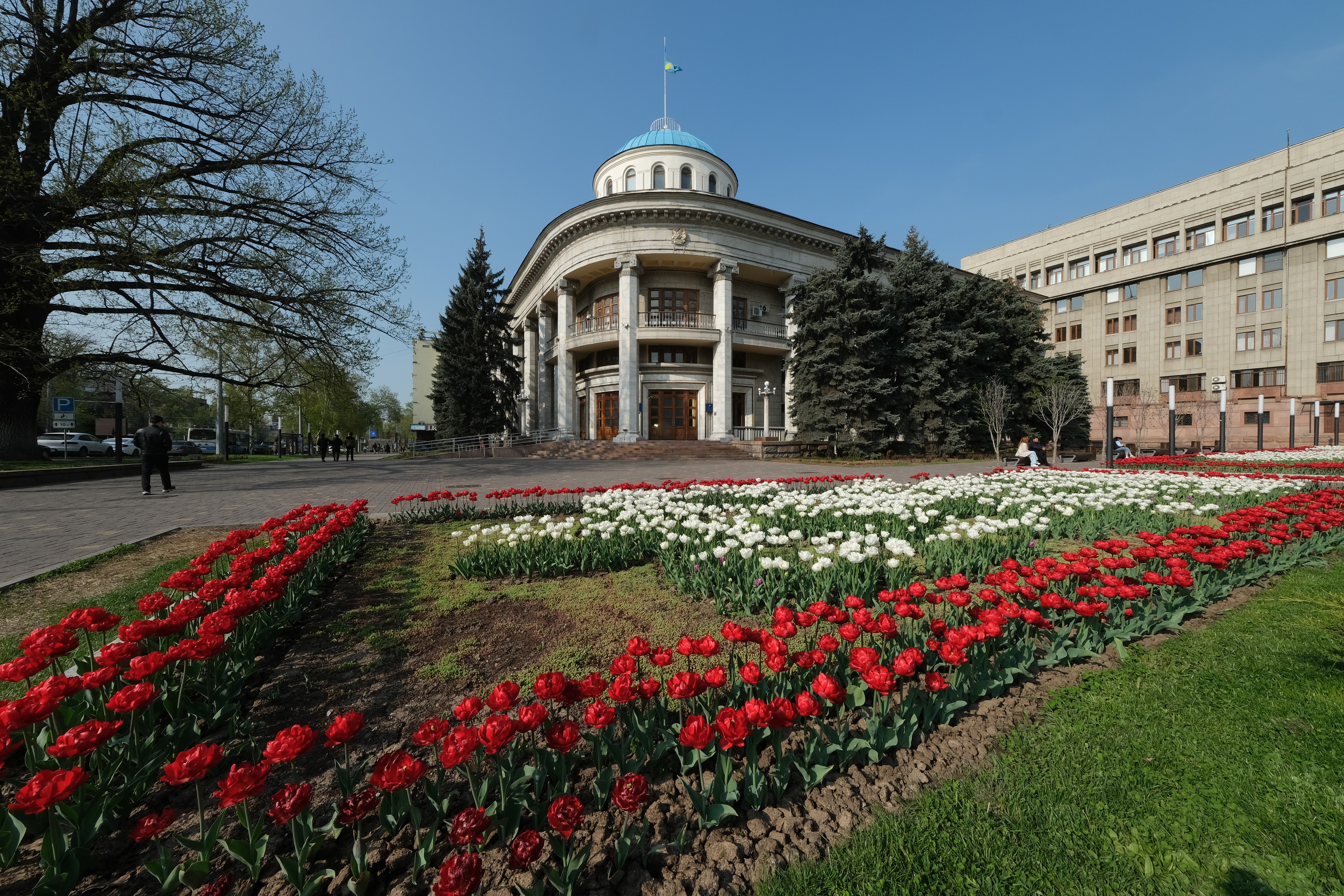 Алматыда 185 мың шаршы метрге жуық гүл отырғызылады