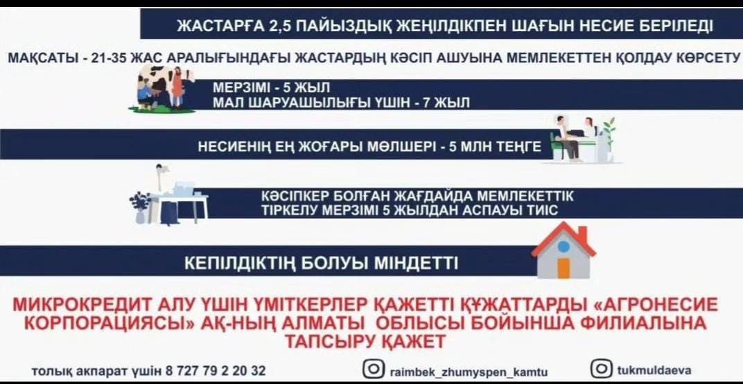 Жастарға 2,5% пайыздық жеңілдікпен шағын несие беріледі