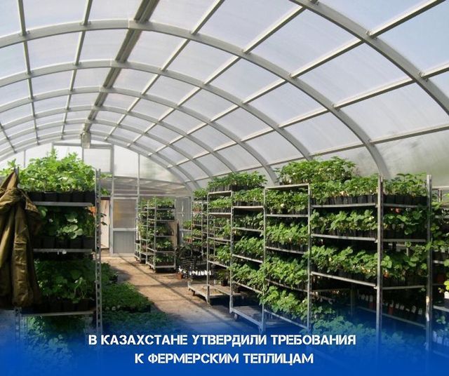 Қазақстанда фермерлік жылыжайларға қойылатын талаптар бекітілді