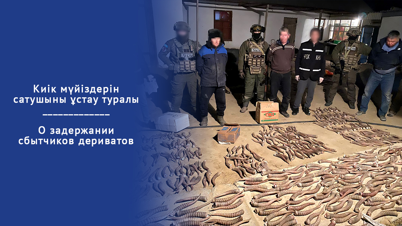 Киік мүйіздерін сатушыны ұстау туралы