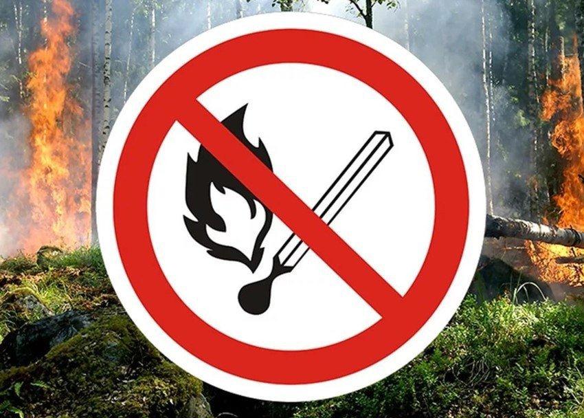 Шығыс Қазақстанда шөптің алғашқы жануы тіркелді