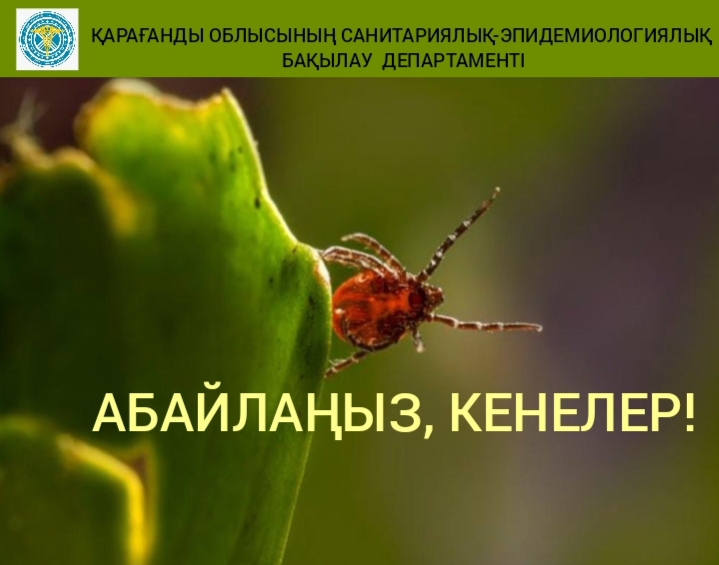 Абайлаңыз, кенелер!