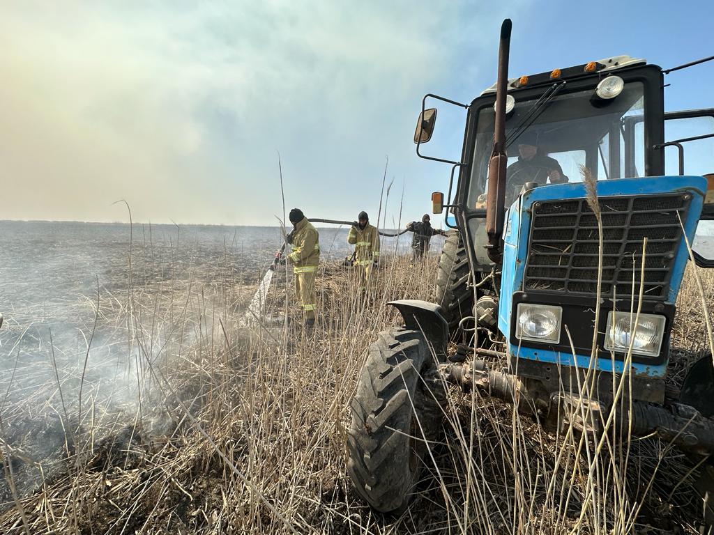 Ликвидировано  загорание камышовых зарослей в Атырауской области