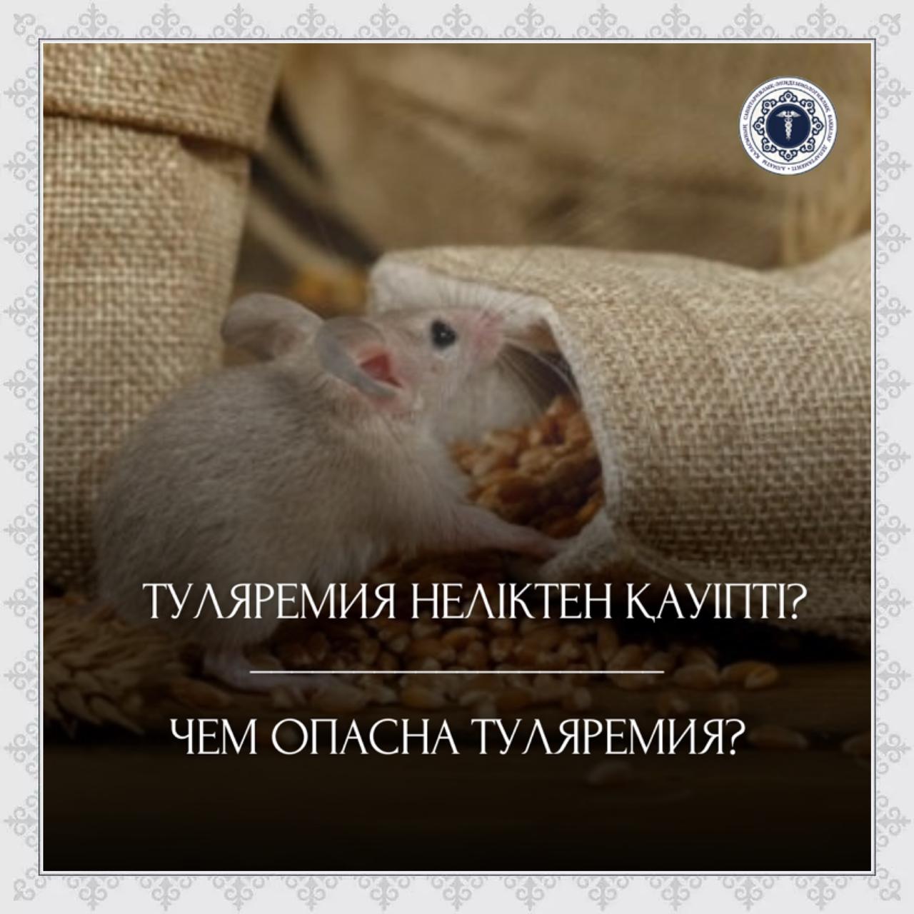 Чем опасна туляремия?