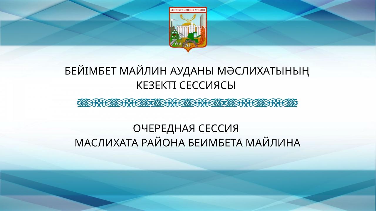 The regular session of the maslikhat of the Beimbet Maylin