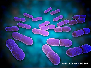 Листериозды қалай анықтауға болады?