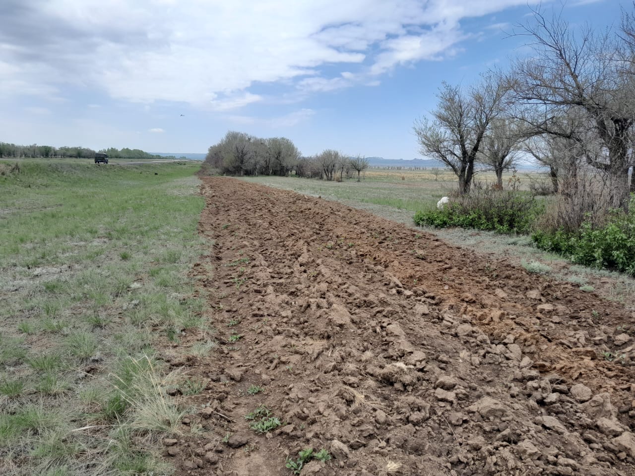 Порнодағы Белла Кэтрин Желіде джинсы киген қызды сиқыту