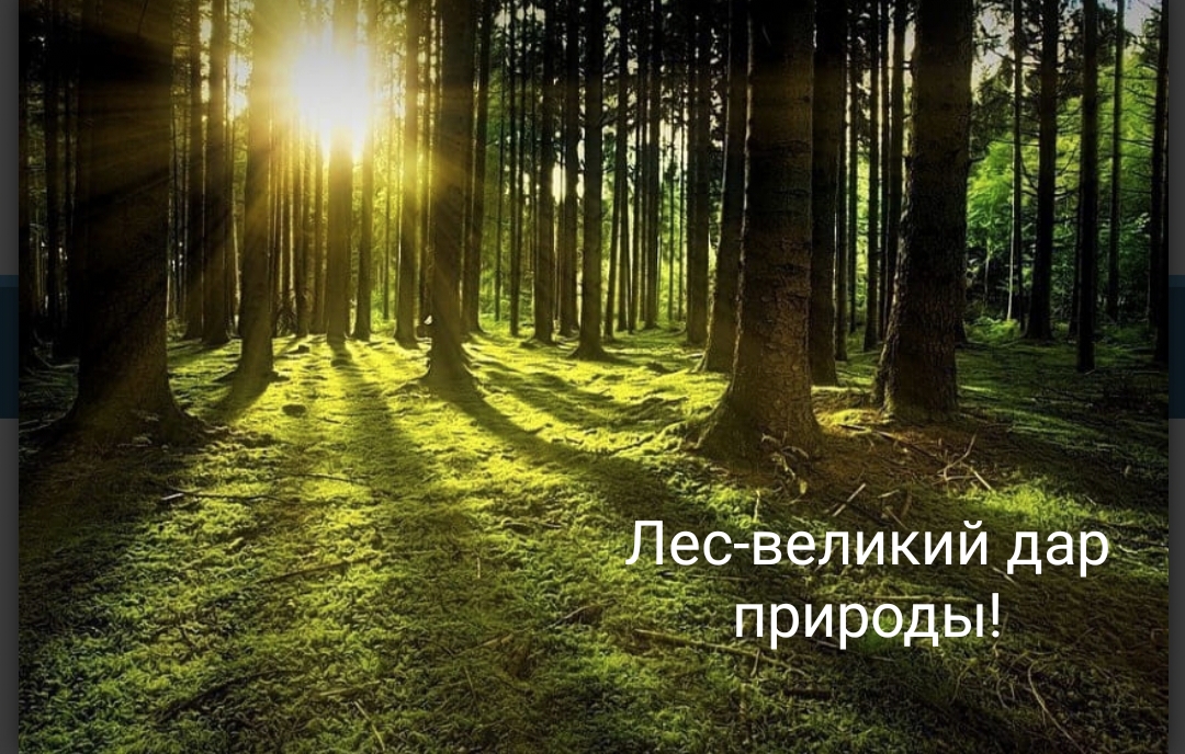 Порно үлкен қынап және мүшесі видео