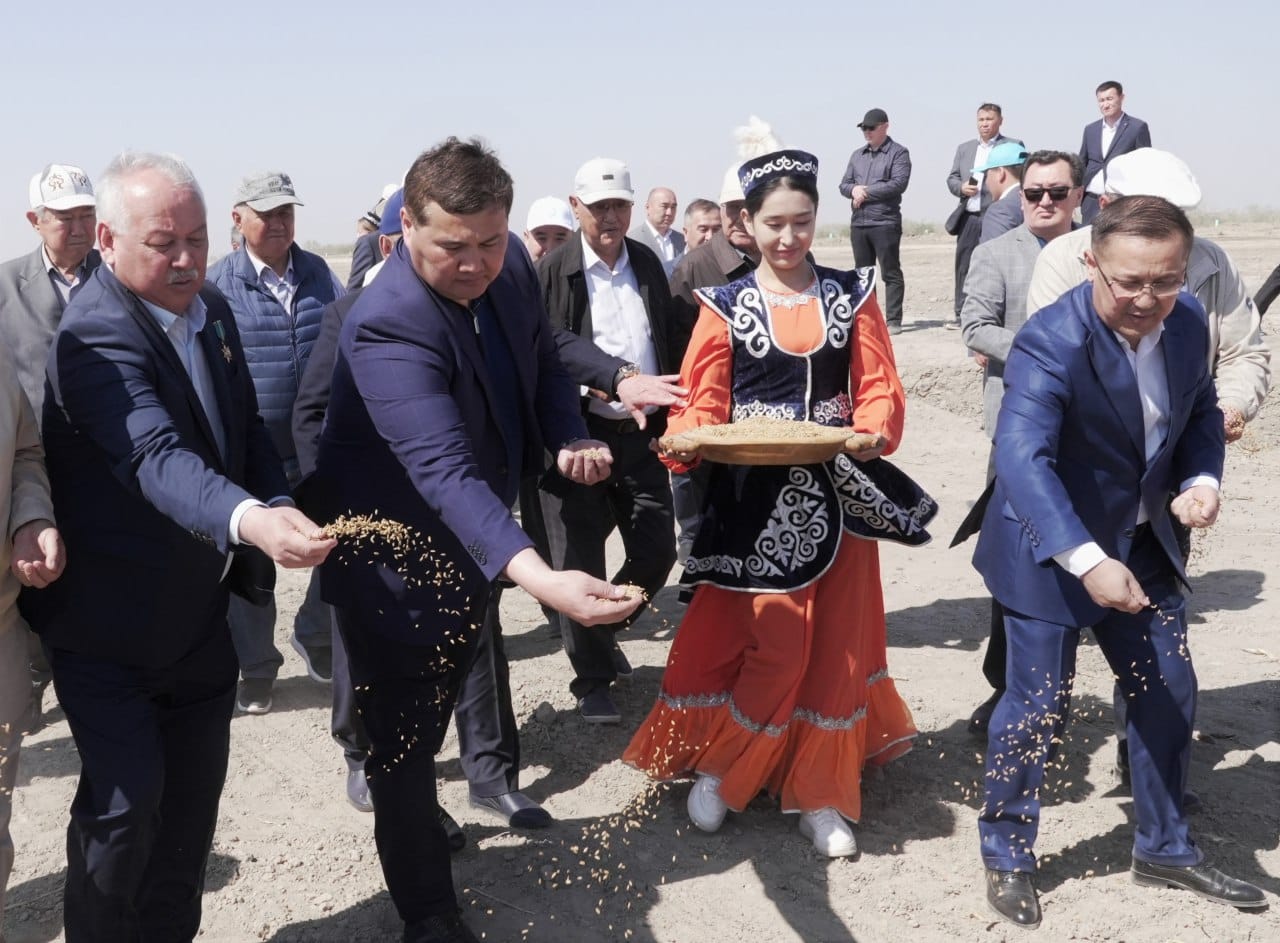 Сыр өңірінде егін егу науқаны басталды