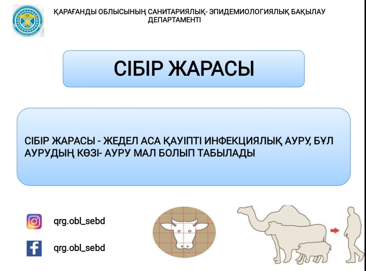 Кафедегі секс аспазшы және директор