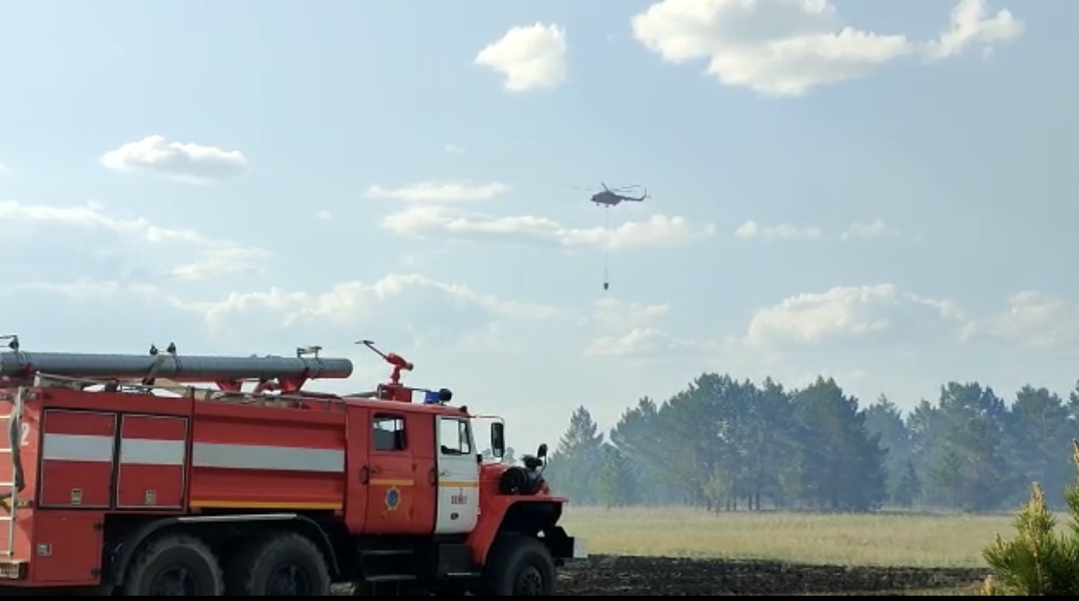 Абай облысындағы орман өрті бойынша жедел ақпарат