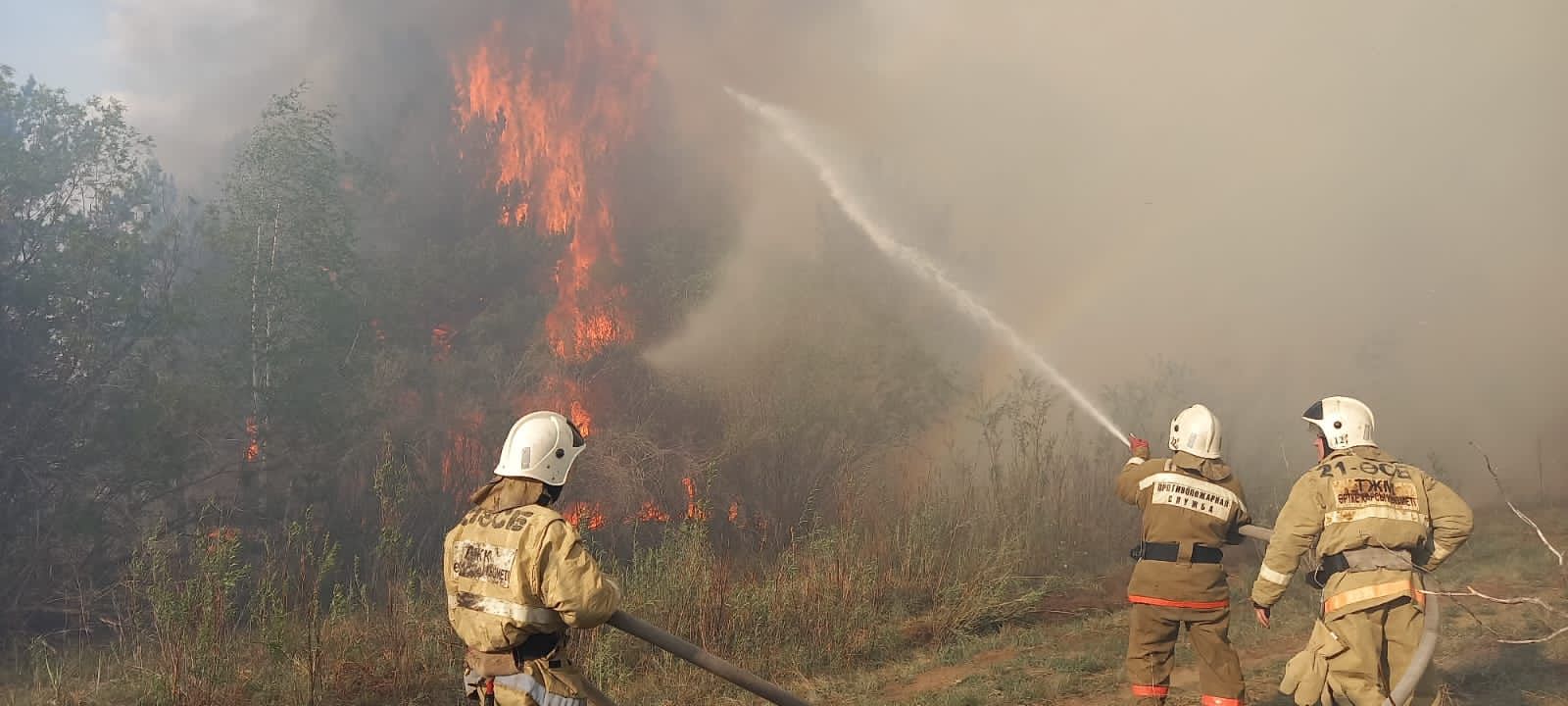 Оперативная информация по лесному пожару, произошедшего  на территории Бородулихинского района области Абай