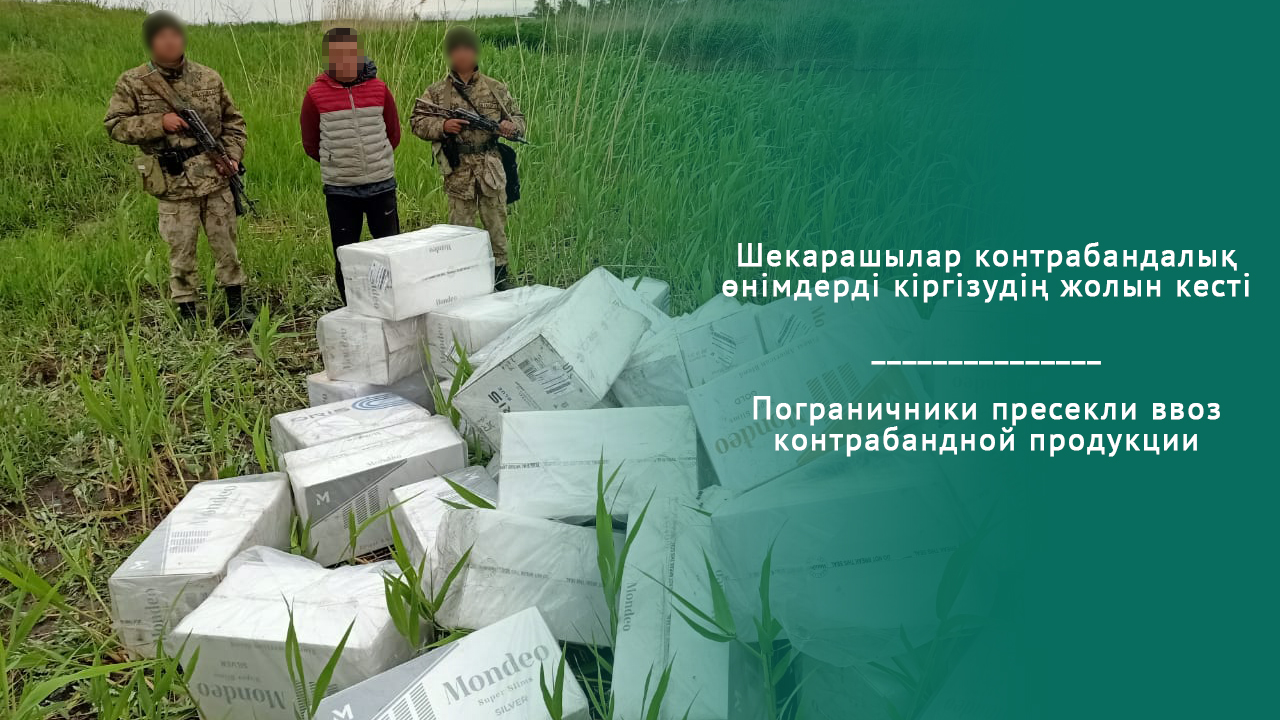 Шекарашылар контрабандалық өнімдерді кіргізудің жолын кесті
