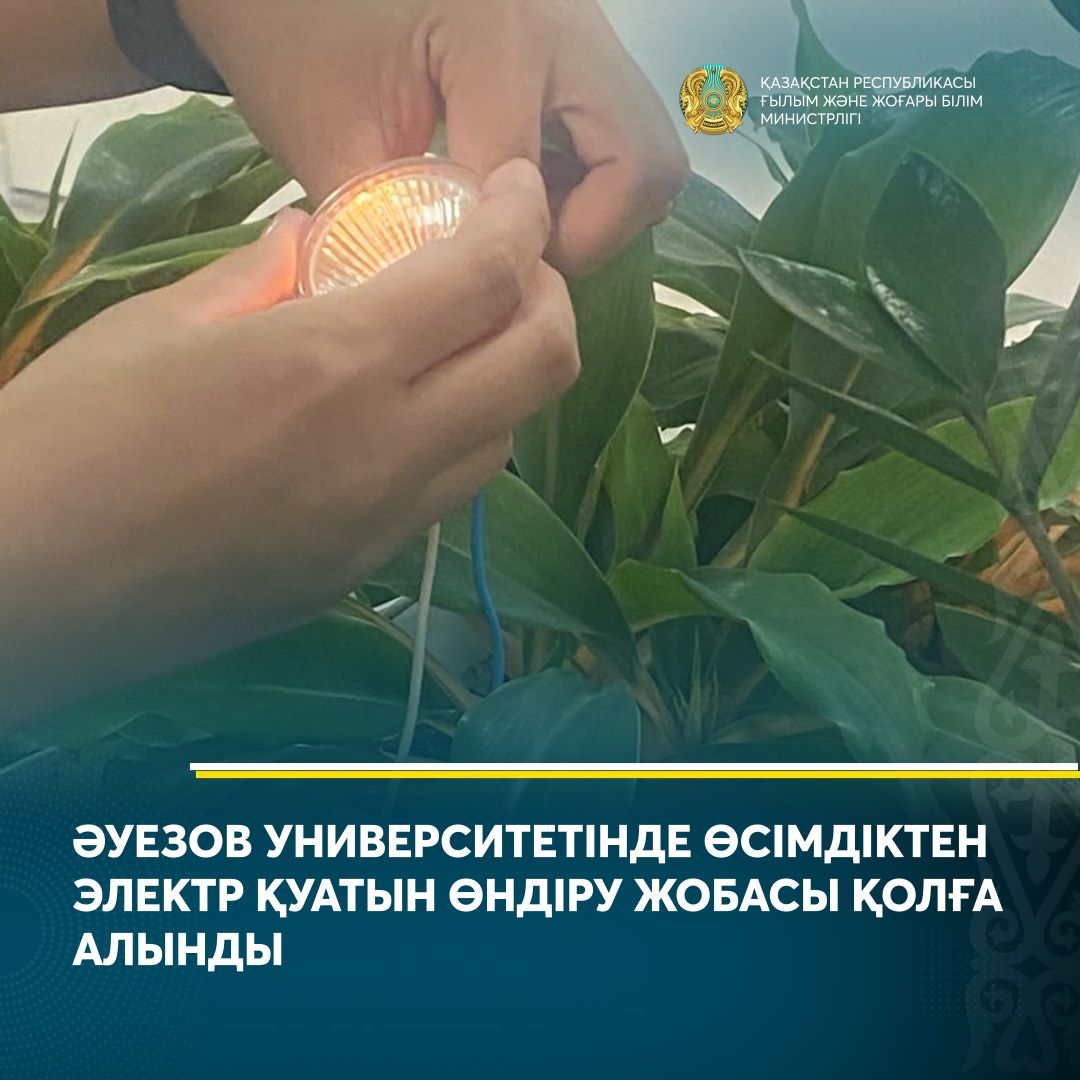 ӘУЕЗОВ УНИВЕРСИТЕТІНДЕ ӨСІМДІКТЕН ЭЛЕКТР ҚУАТЫН ӨНДІРУ ЖОБАСЫ ҚОЛҒА АЛЫНДЫ