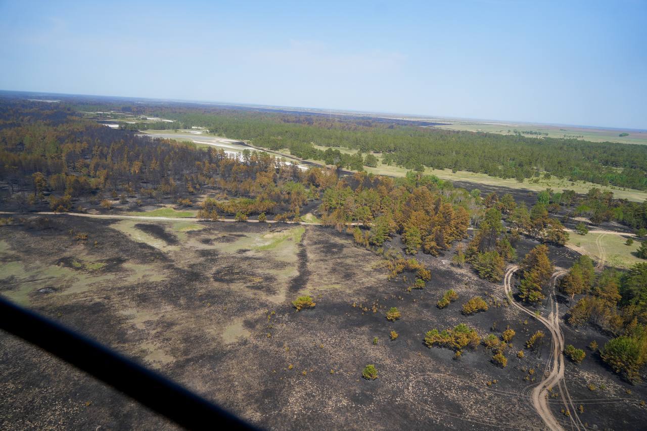 В 18.32 лесной пожар на территории области Абай локализован