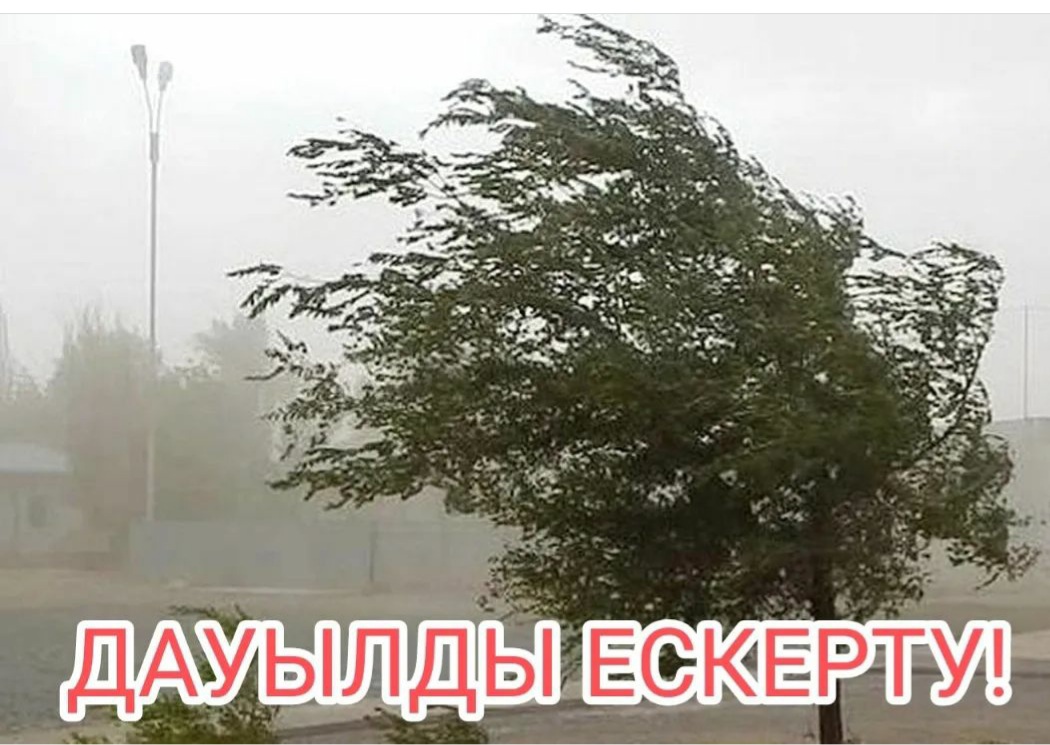 Штормовое предупреждение