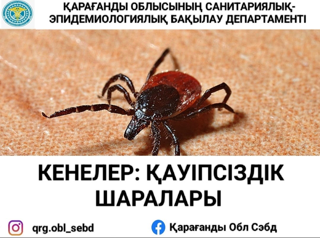 Әйелдер жыныстық қатынаста әдемі