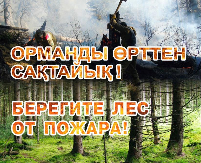 ПРЕДОТВРАТИМ ЛЕСНЫЕ ПОЖАРЫ!