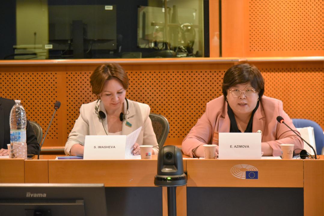 В Европейском парламенте обсудили результаты конституционной реформы в Казахстане