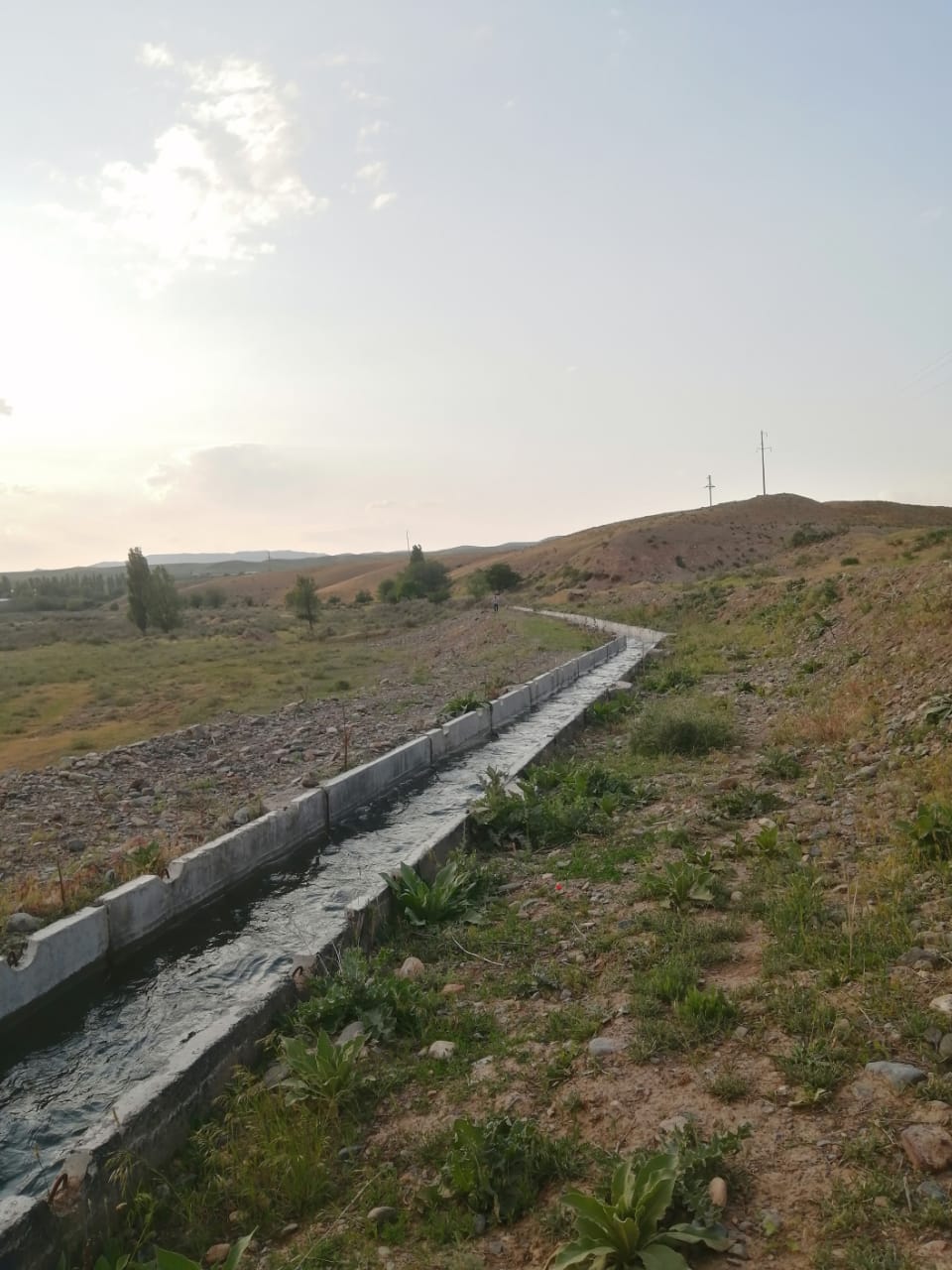 В Жамбылской области на площади 7508 га поставлена вода