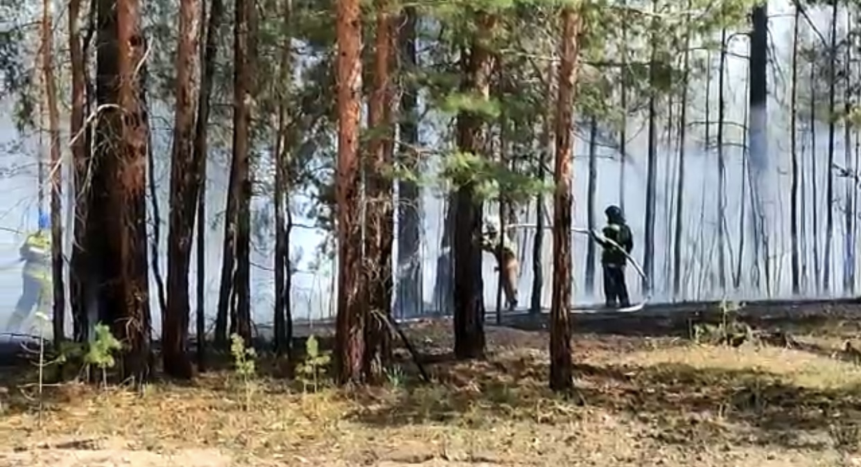 Природный пожар в области Абай локализован