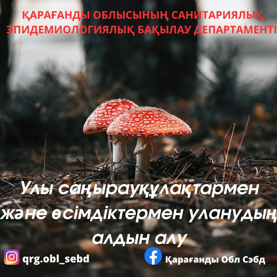 Улы саңырауқұлақтар және өсімдіктермен уланудың алдын алу