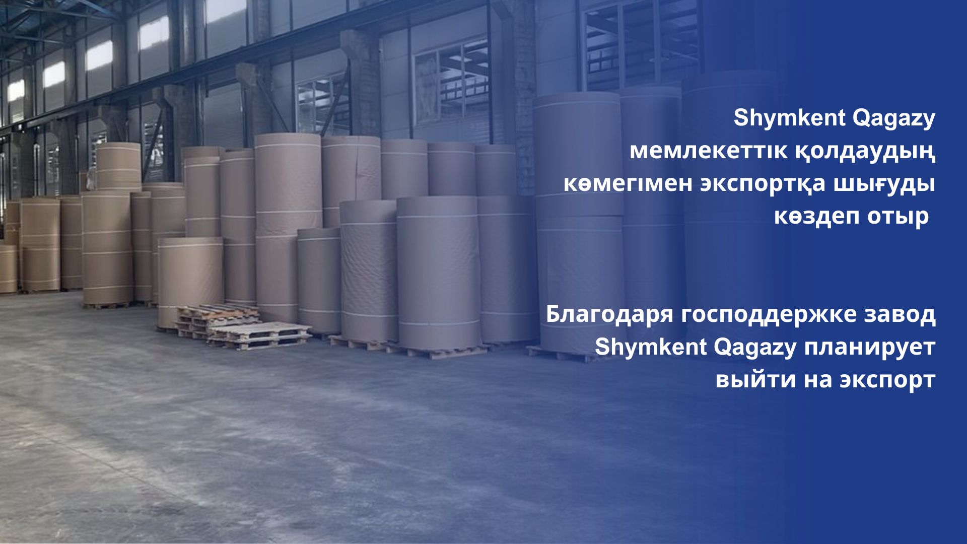 Благодаря господдержке завод Shymkent Qagazy планирует выйти на экспорт