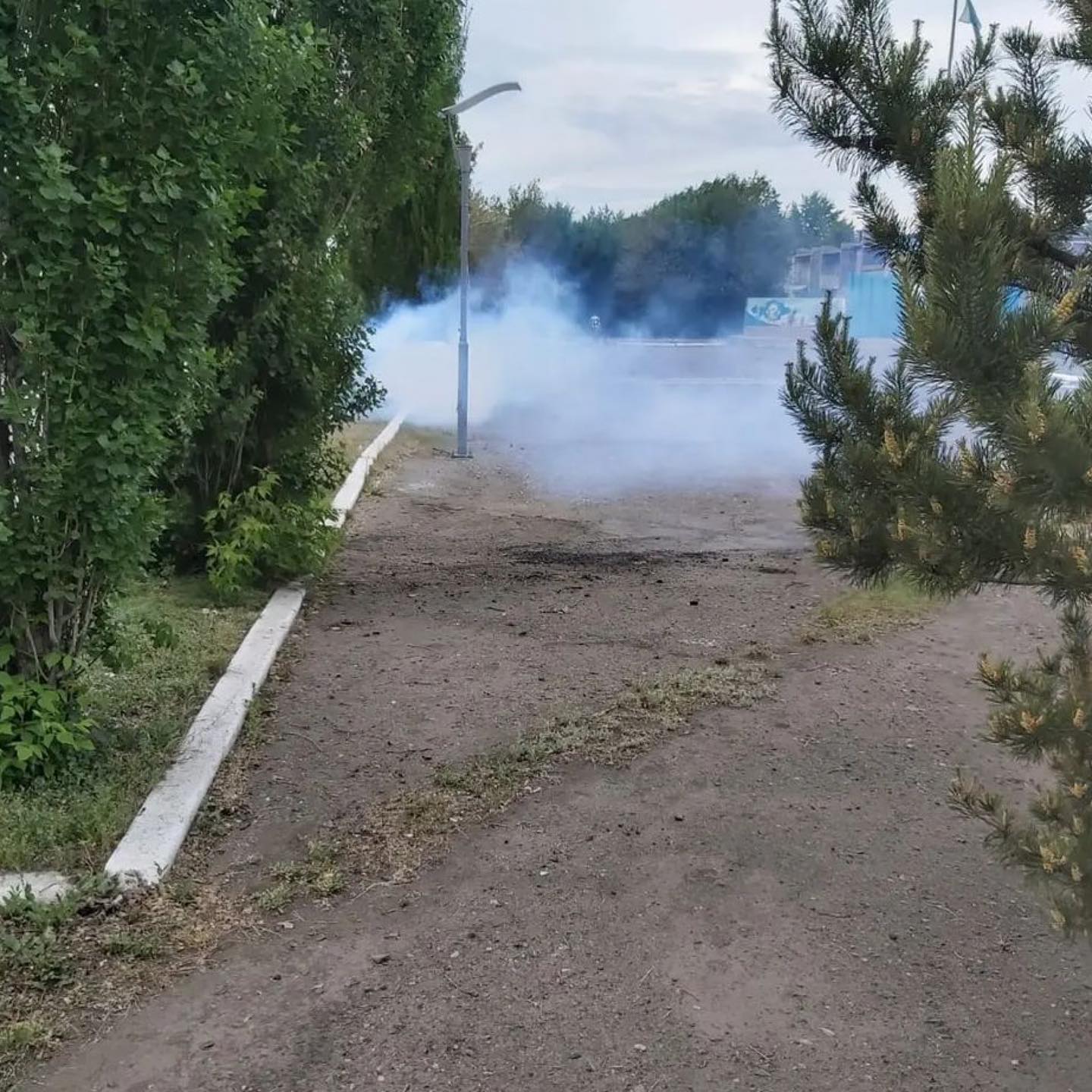 Барьерная обработка против гнуса