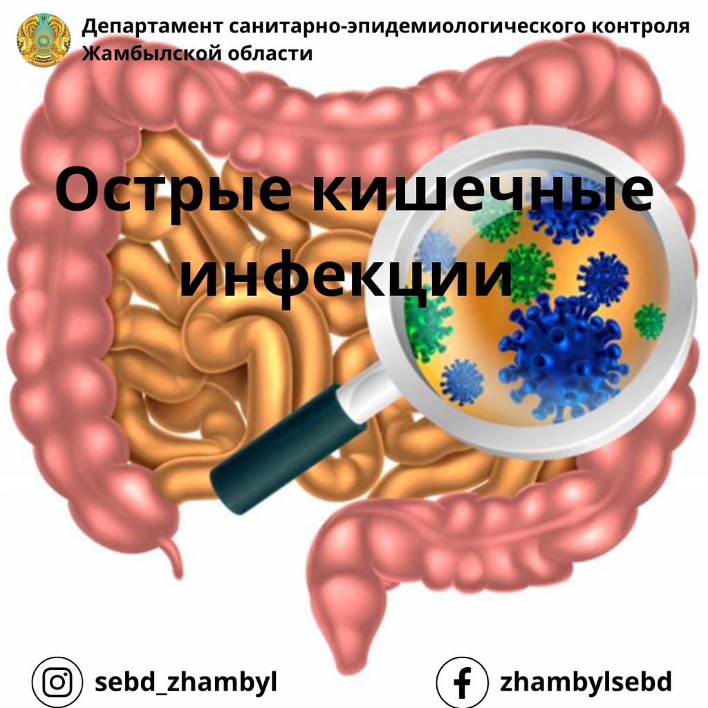механизм действия инсектицидов. основные группы инсектицидов. контактно кишечный. энтерит тонкого кишечника. заболевания кишечника кишечная непроходимость.