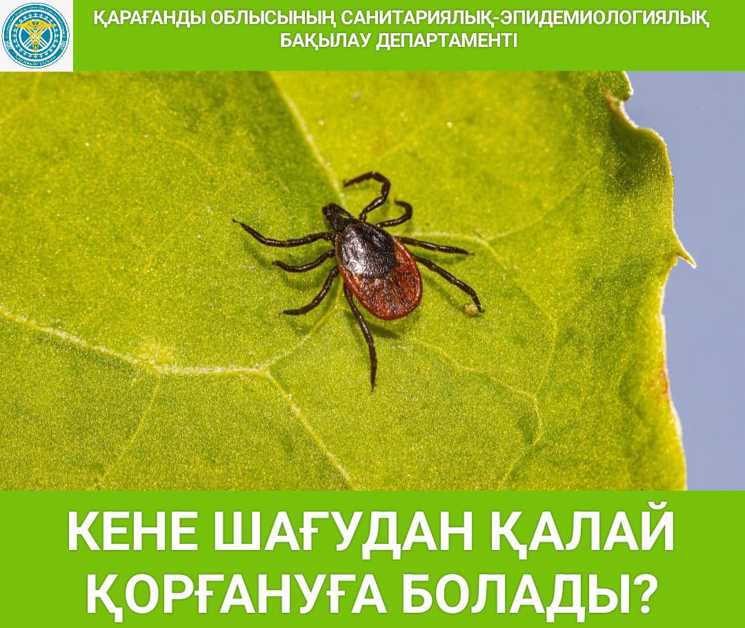 Порно войеризм жатақханасы