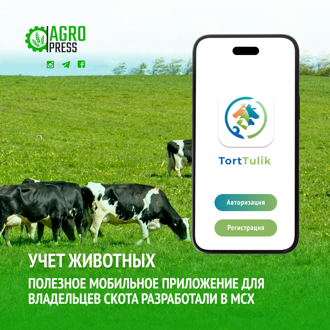 Учет животных: полезное мобильное приложение для владельцев скота разработали в МСХ