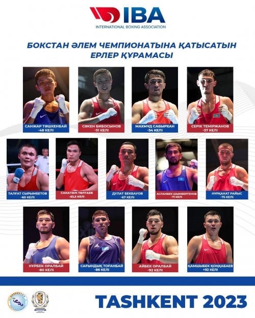 Чемпионат мира по  боксу
