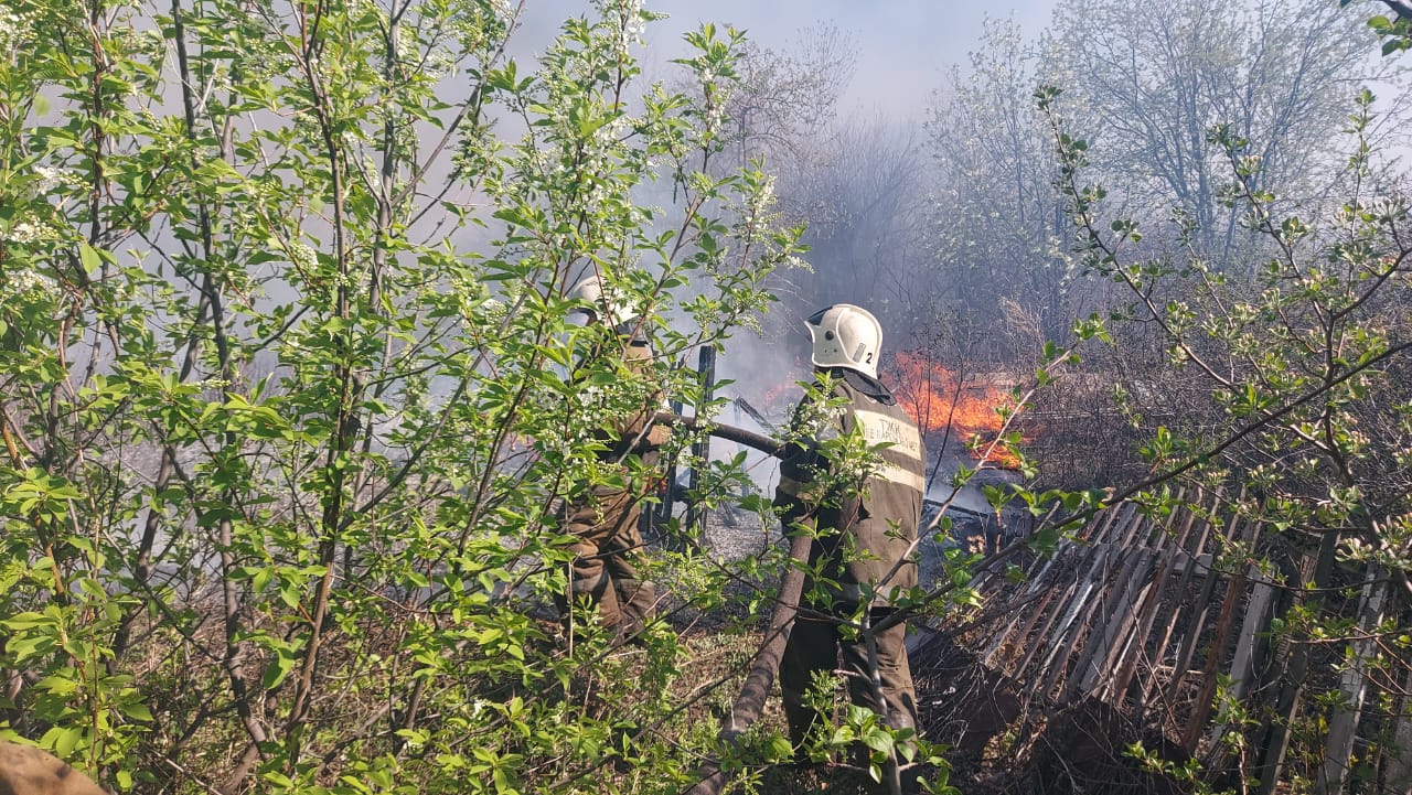 Пожарные тушили дачные домики, траву и камыш