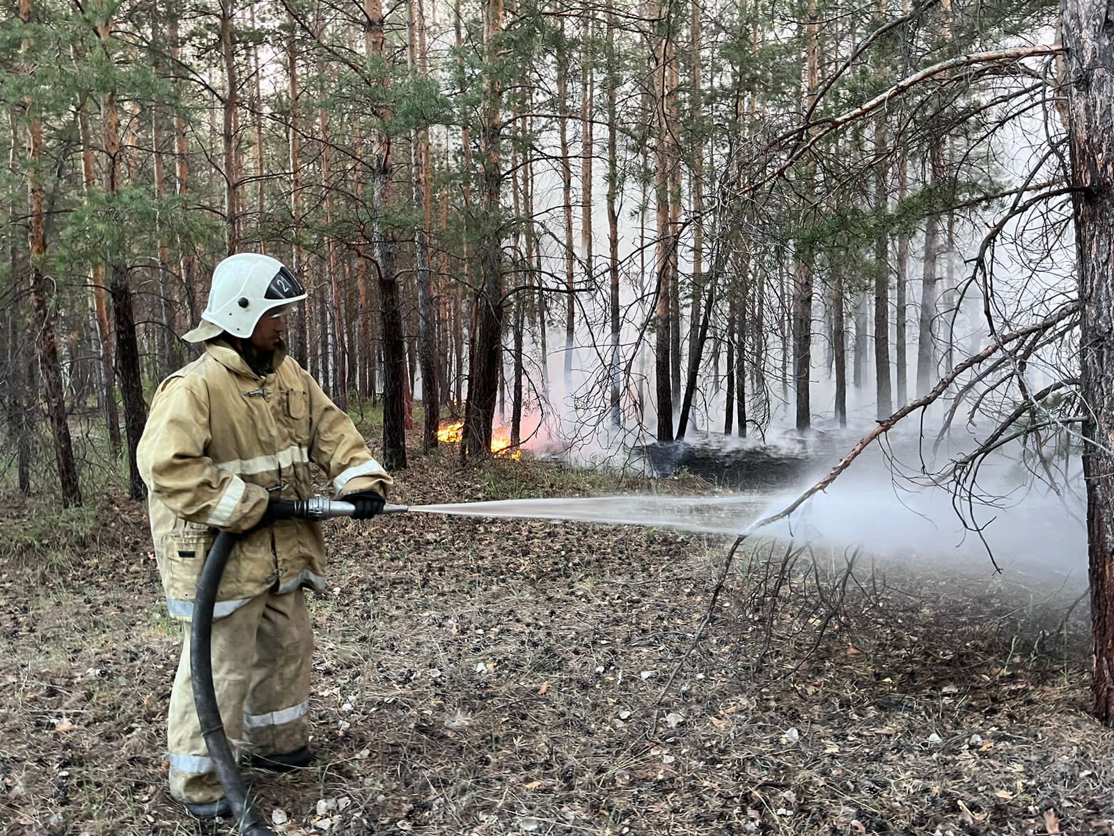 Большая часть очагов пожара в области Абай локализована, ситуация стабилизируется