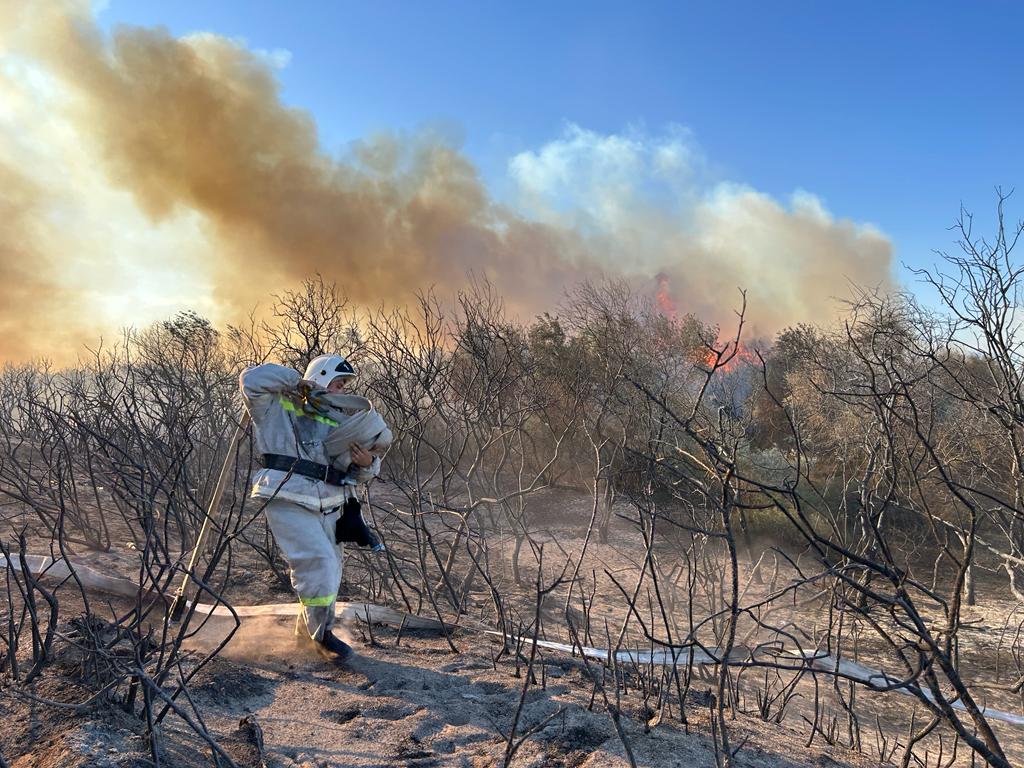 Қызылорда облысының өрт сөндірушілері қураған шөп өртін сөндірді