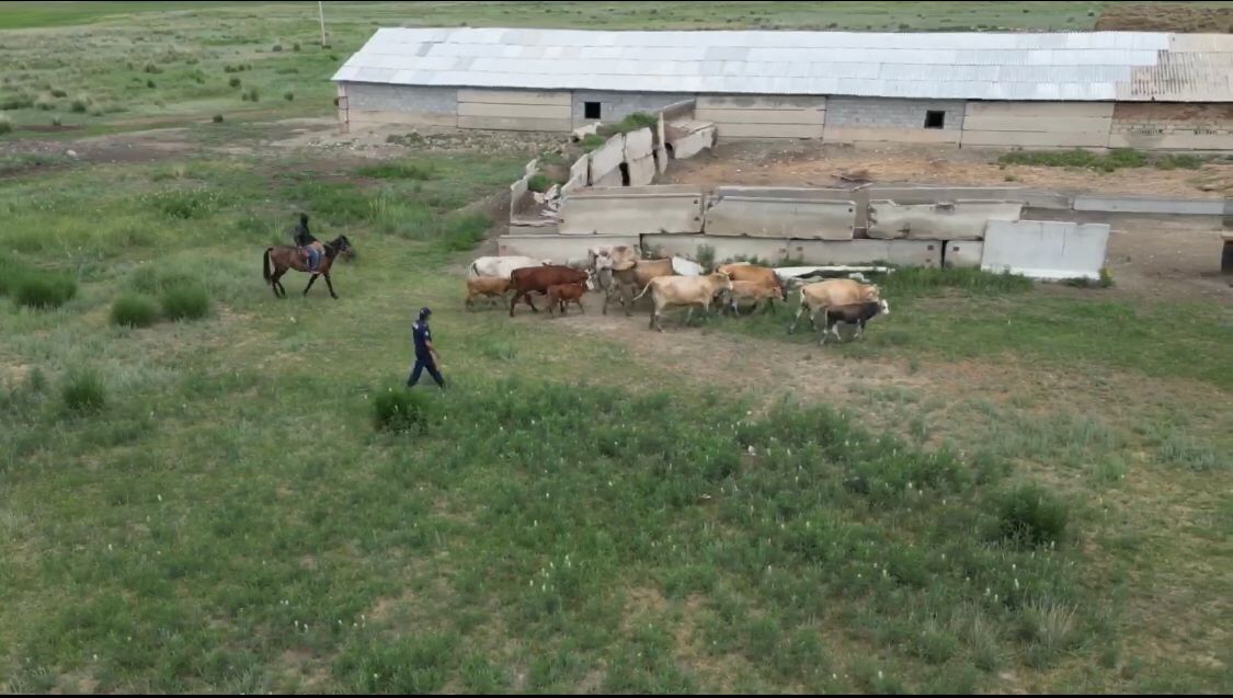 Сантехник диванда басқа әйелді трахает.